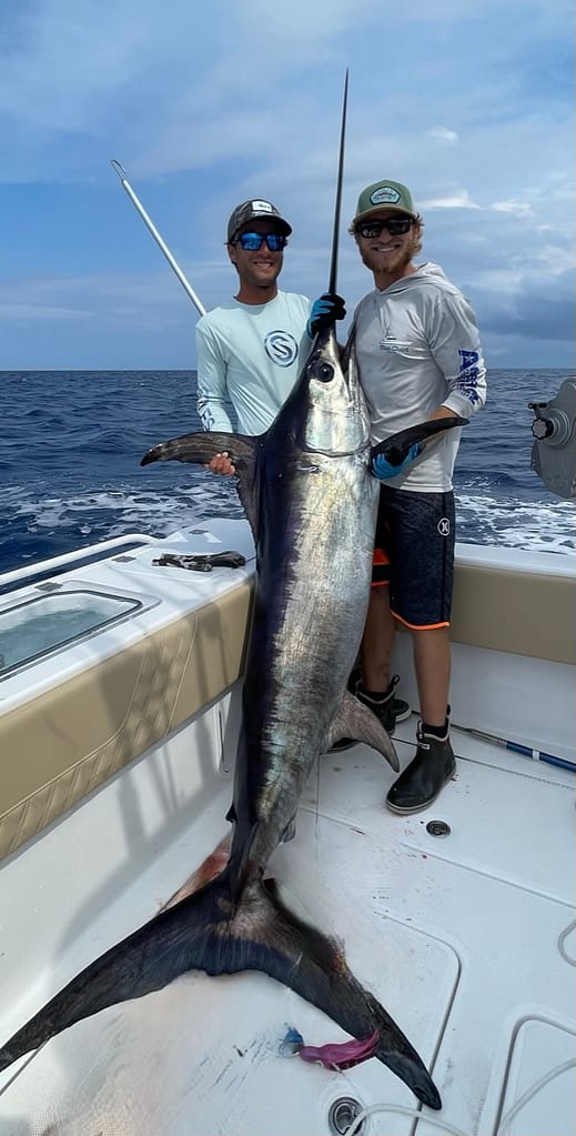Stuart Florida Swordfish