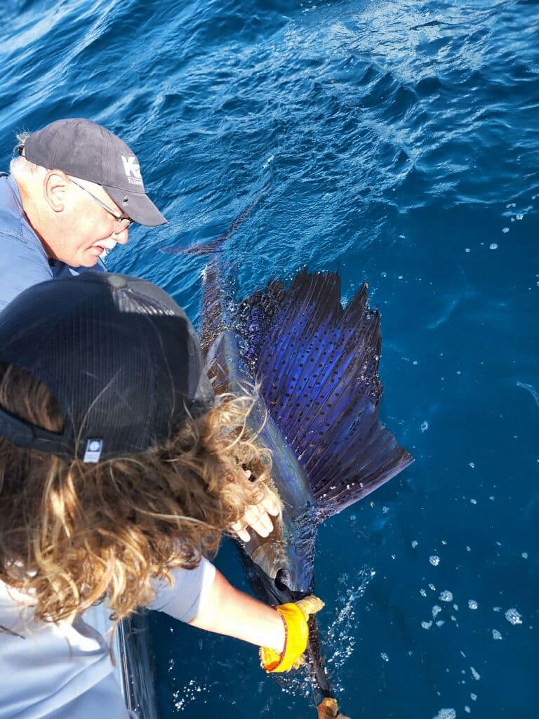 sailfish release