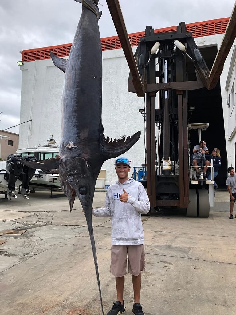 500 lb. swordfish