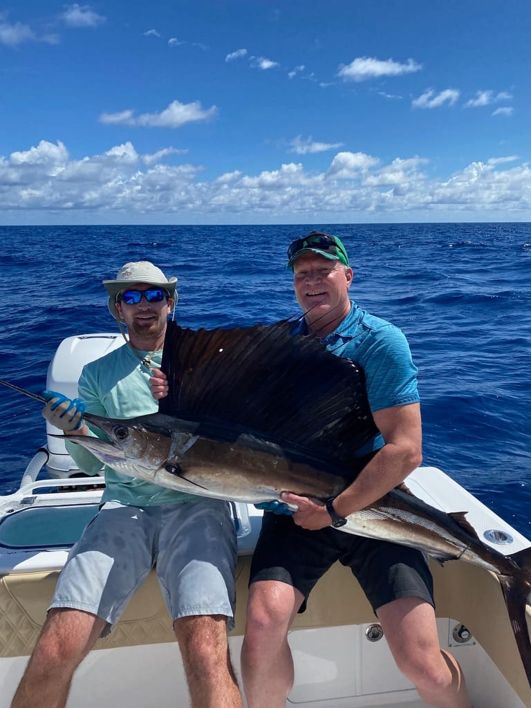 Sailfish caught by Florida Offshore Charter guests
